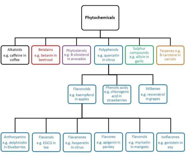 Phytochemicals